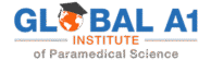 Updated Logo