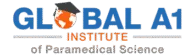 Updated Logo